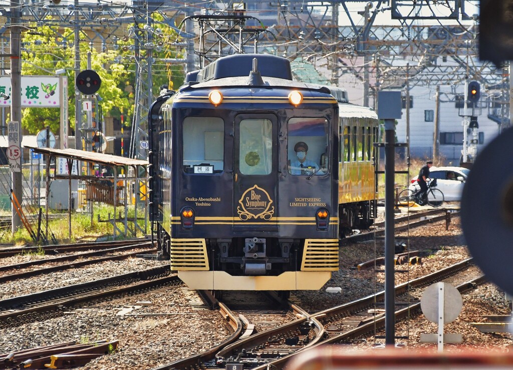 青のシンフォニー