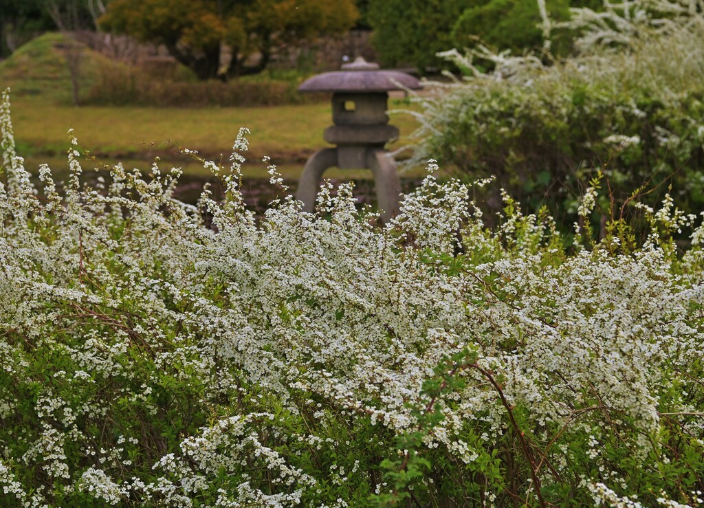 日本庭園