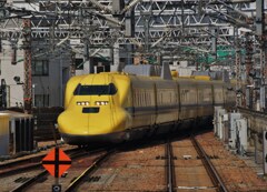 イエロー
