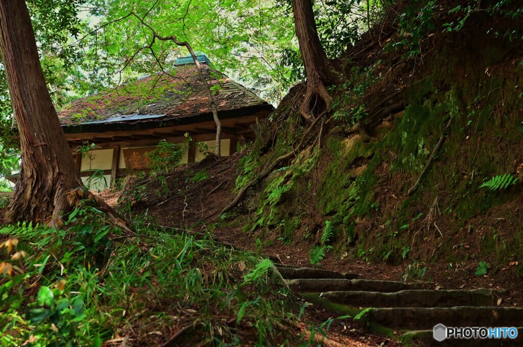 祠