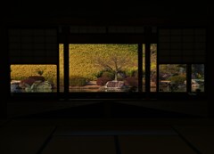 劇場