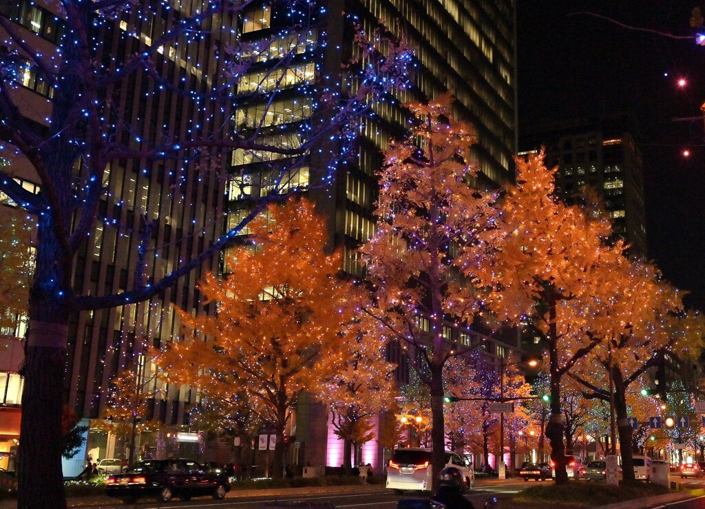 イルミネーション