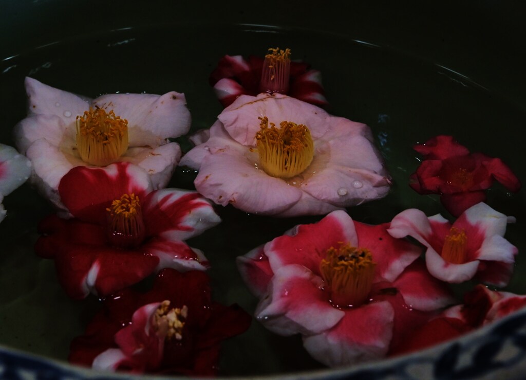 水映