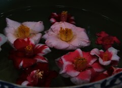 水映