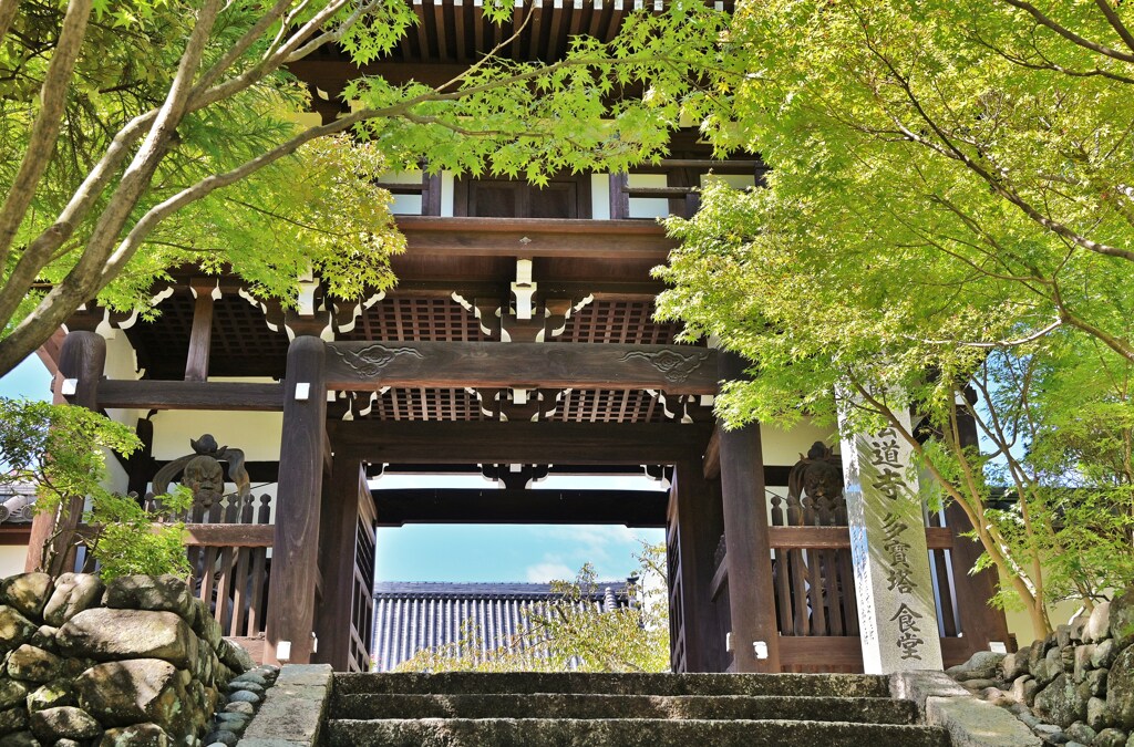 櫻門
