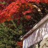 紅影