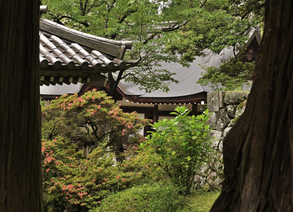 山寺の初夏