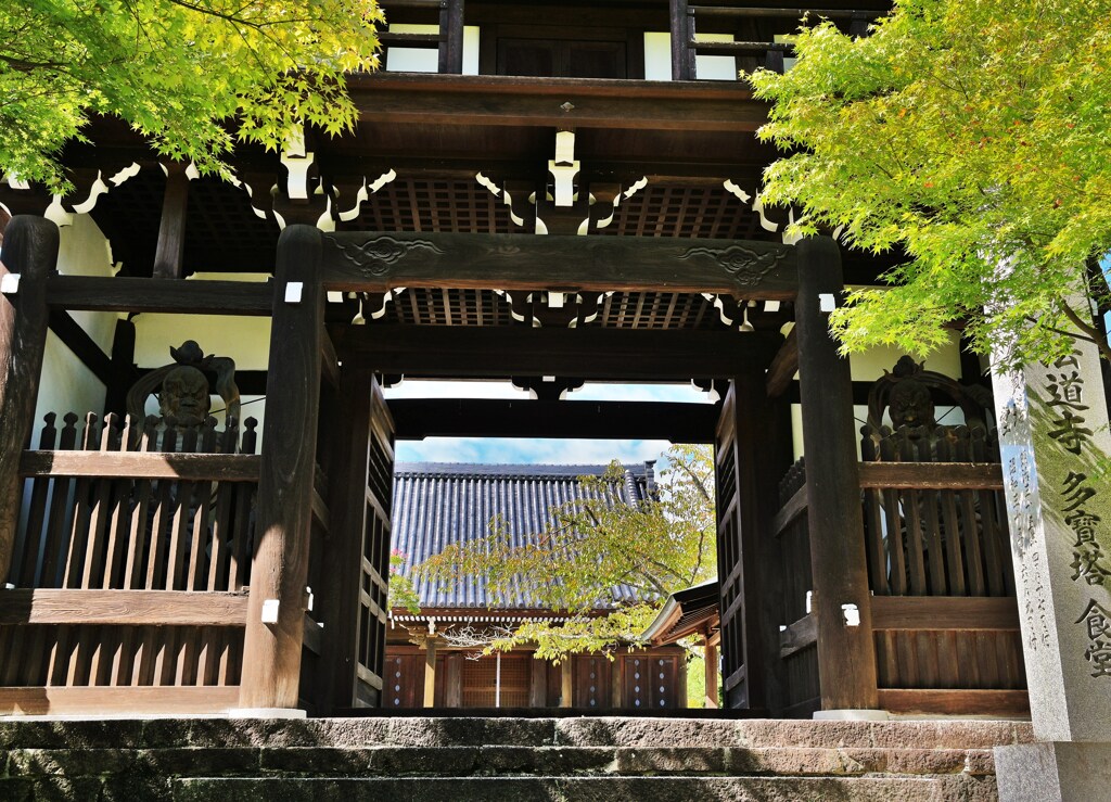 櫻門
