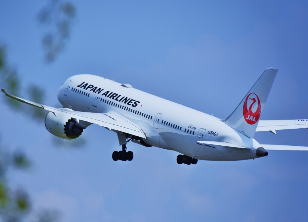 飛立