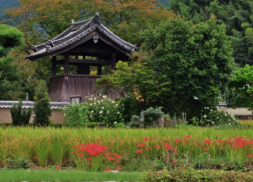 山寺の秋