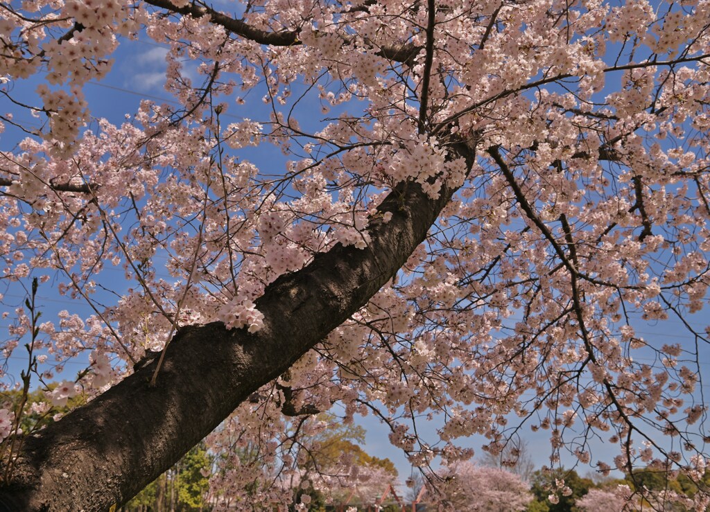 空へ