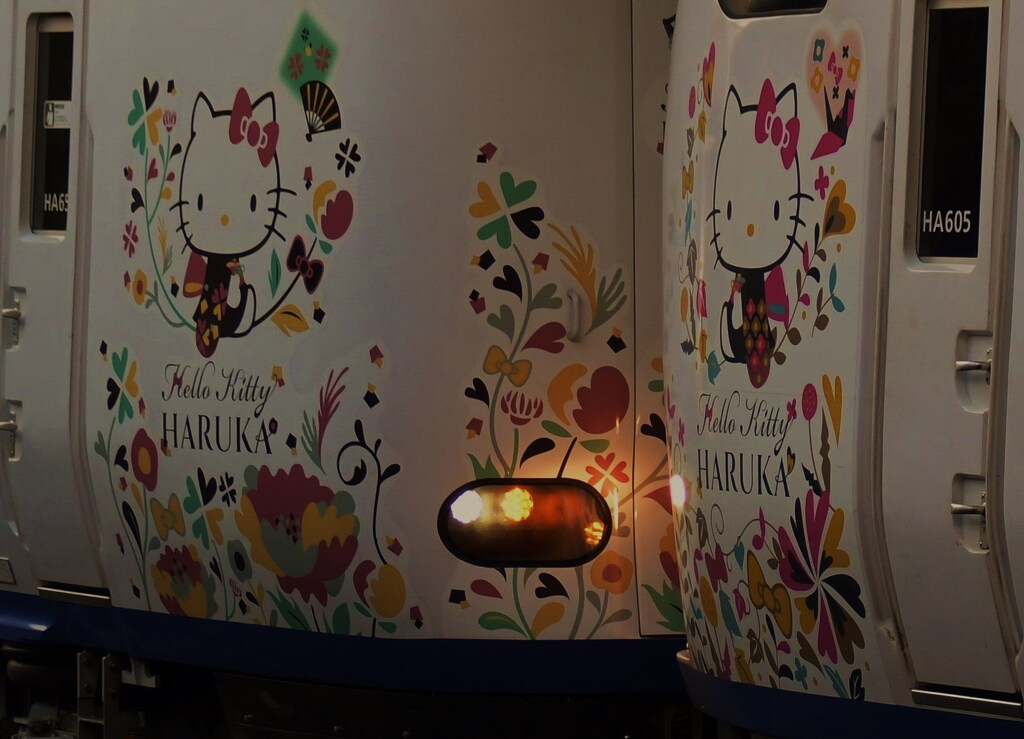 20230921-15はるか