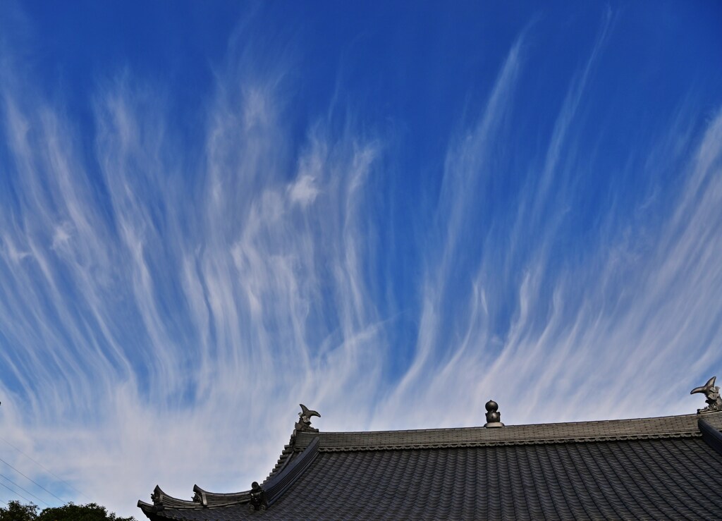 霊気