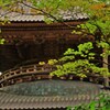 多宝