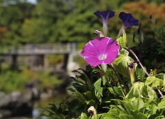 昨日と今日