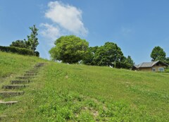 草原