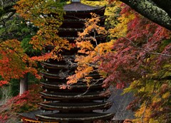 紅葉