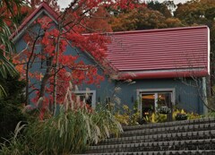 紅い屋根