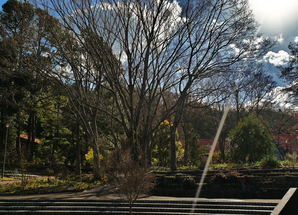 一筋の光線