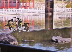 湯の花