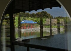 水景
