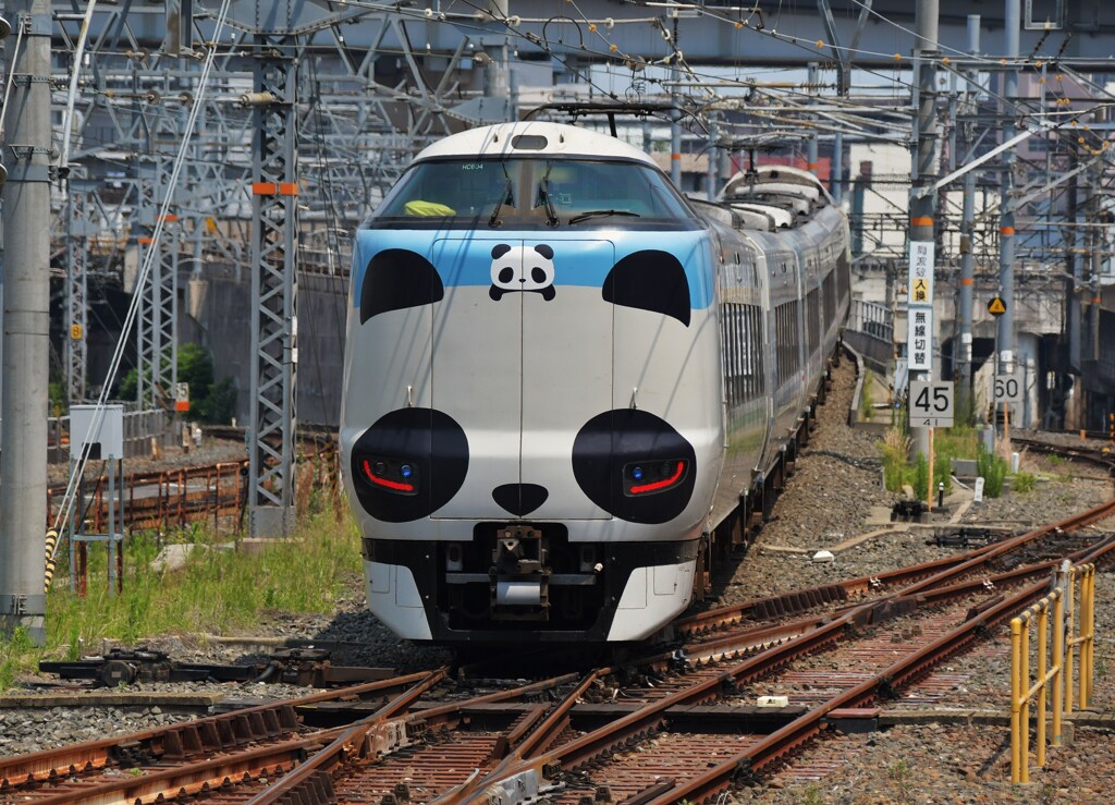 パンダくろしお