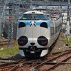 パンダくろしお