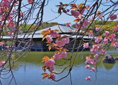 華景