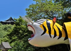 虎