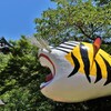 虎