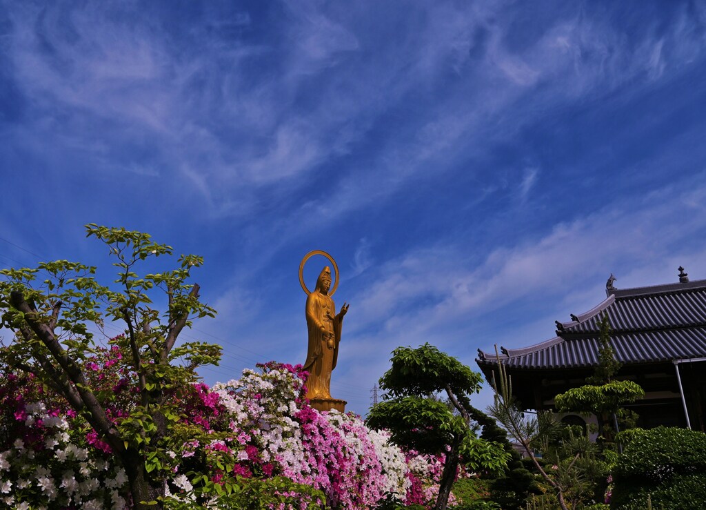 青雲のもと