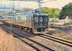 青い風