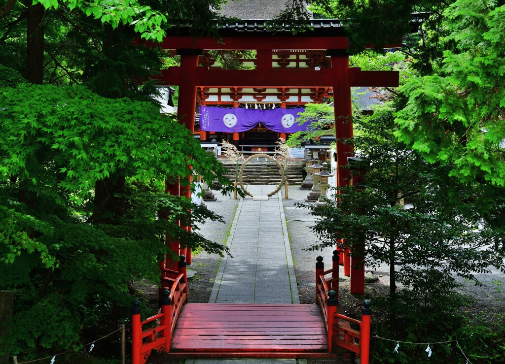 新緑の中