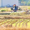 生活道