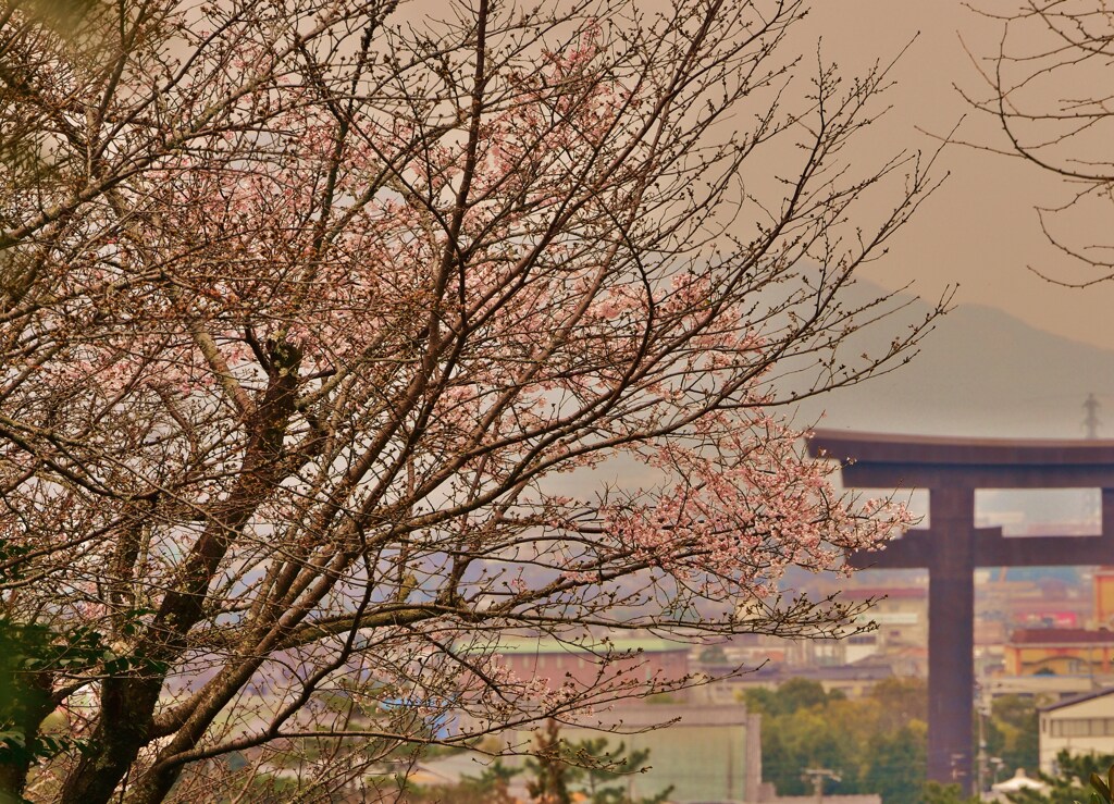 鳥居の町