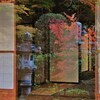 内映え
