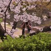 激写