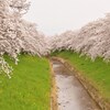 遠望