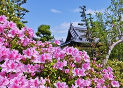 奥の寺