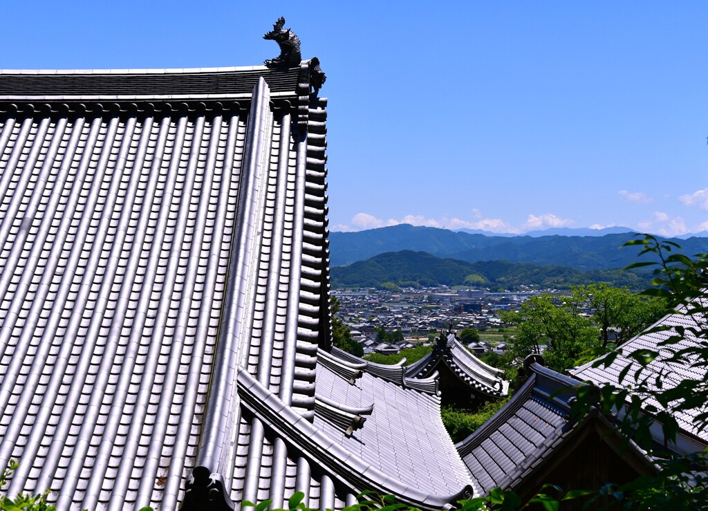 奈良盆地