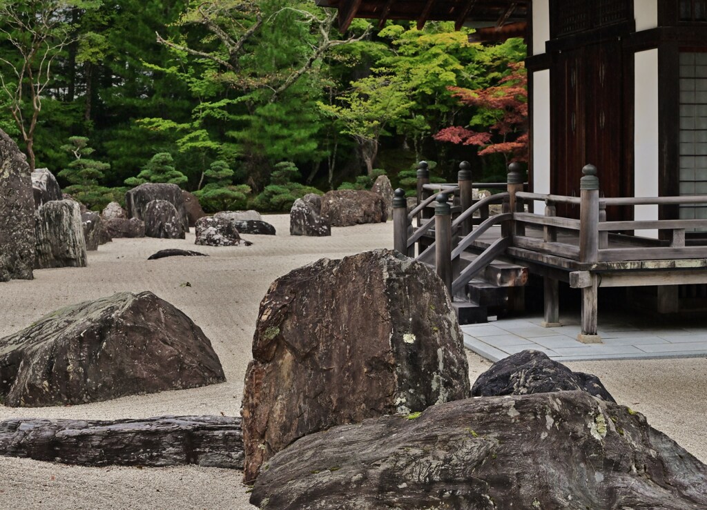 庭の波