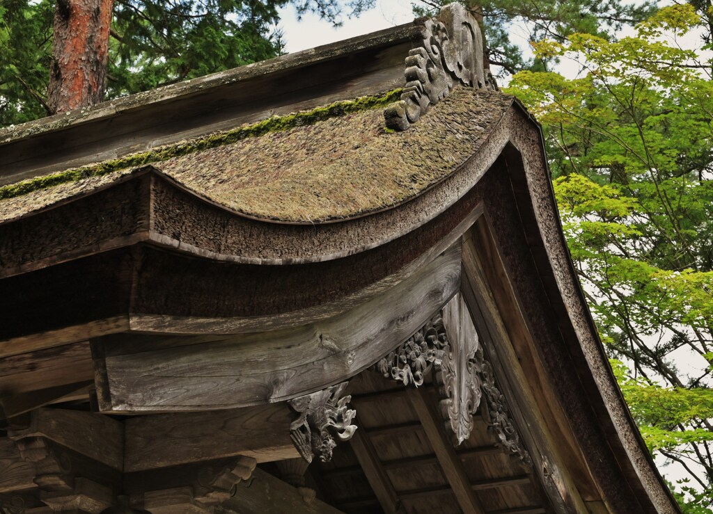 屋根に歴史