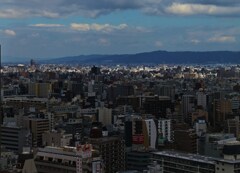 遠望