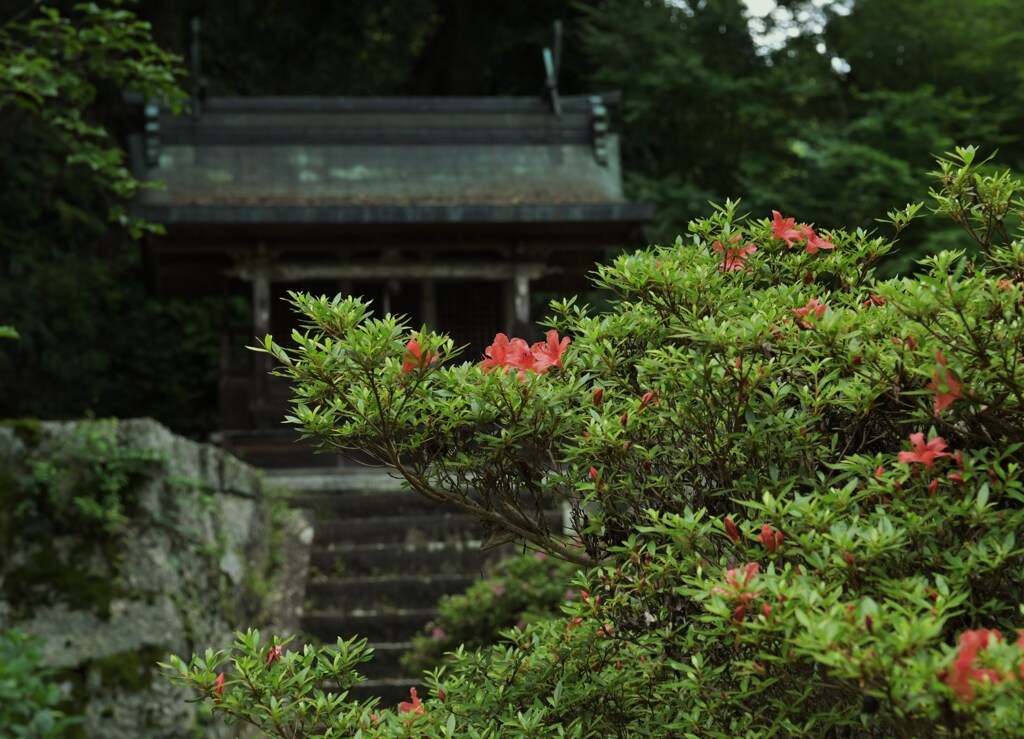 彩りの背景