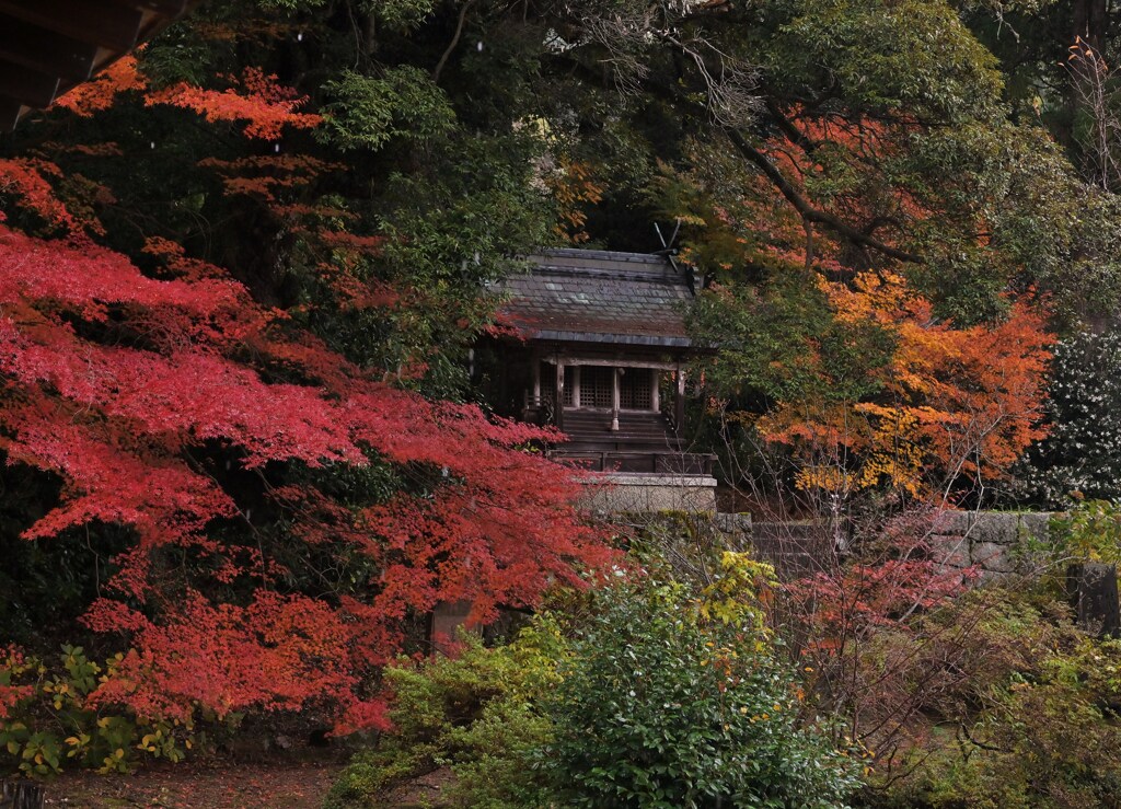 祠