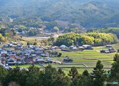 飛鳥の里