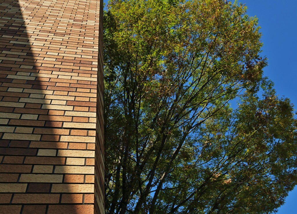 レンガの向こう