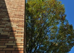 レンガの向こう