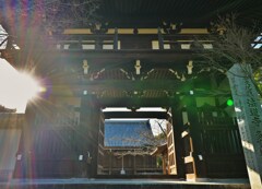 陽光