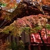 紅葉